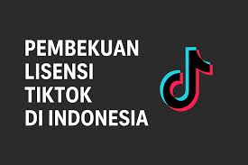 lisensi TikTok